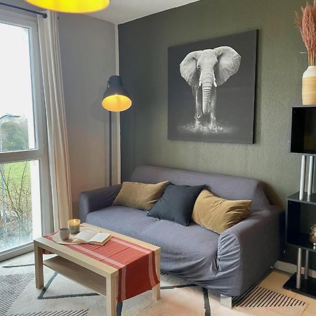 Le Colorado - Appartement Proche Airbus コロミエ エクステリア 写真