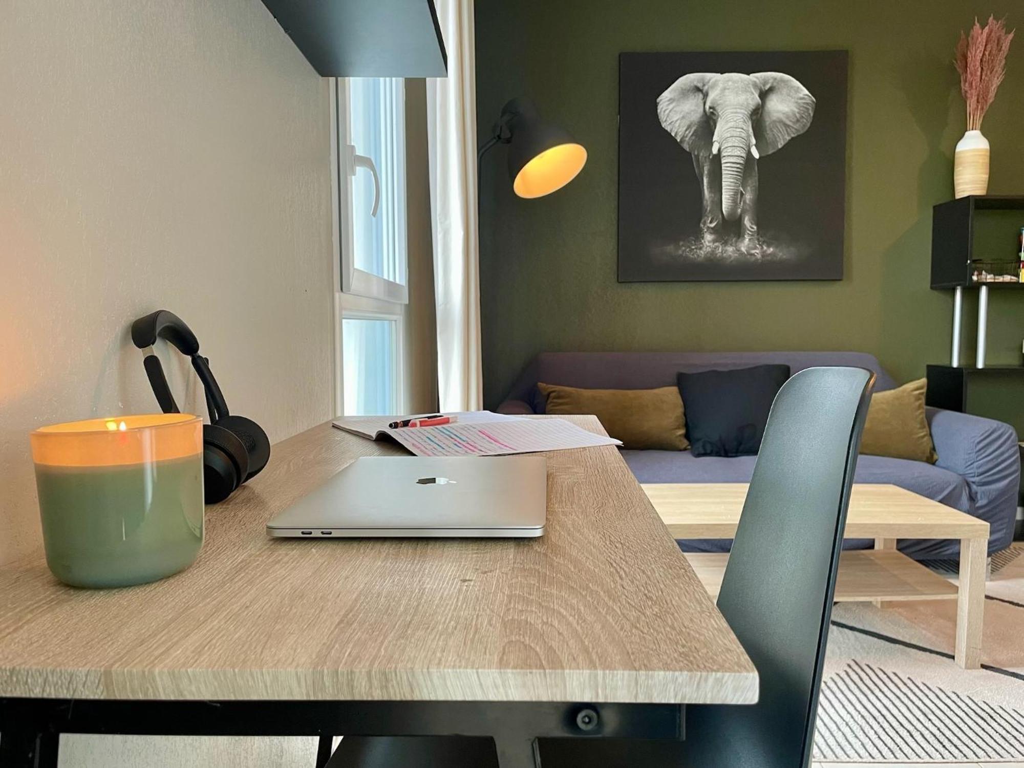 Le Colorado - Appartement Proche Airbus コロミエ エクステリア 写真