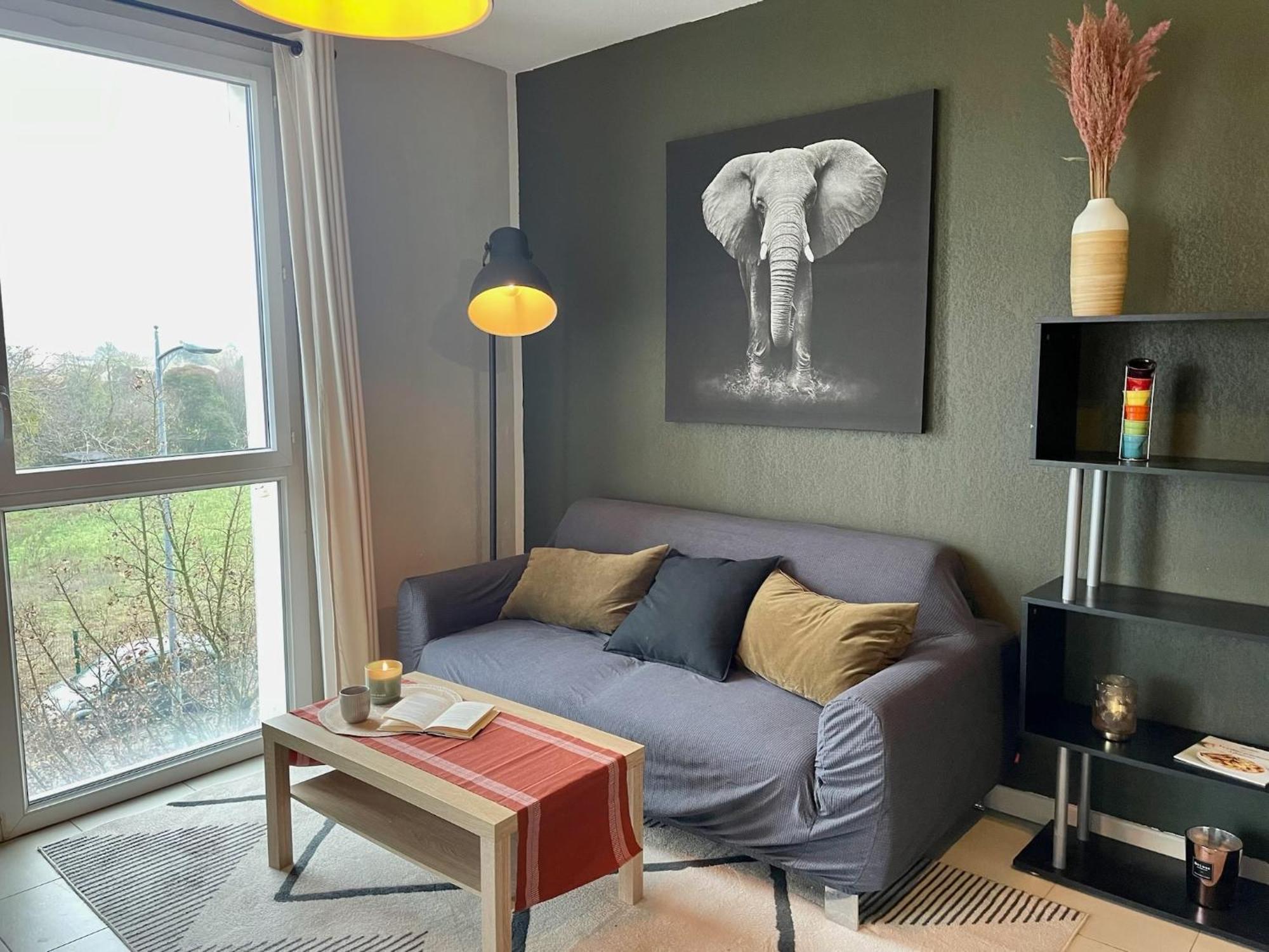 Le Colorado - Appartement Proche Airbus コロミエ エクステリア 写真