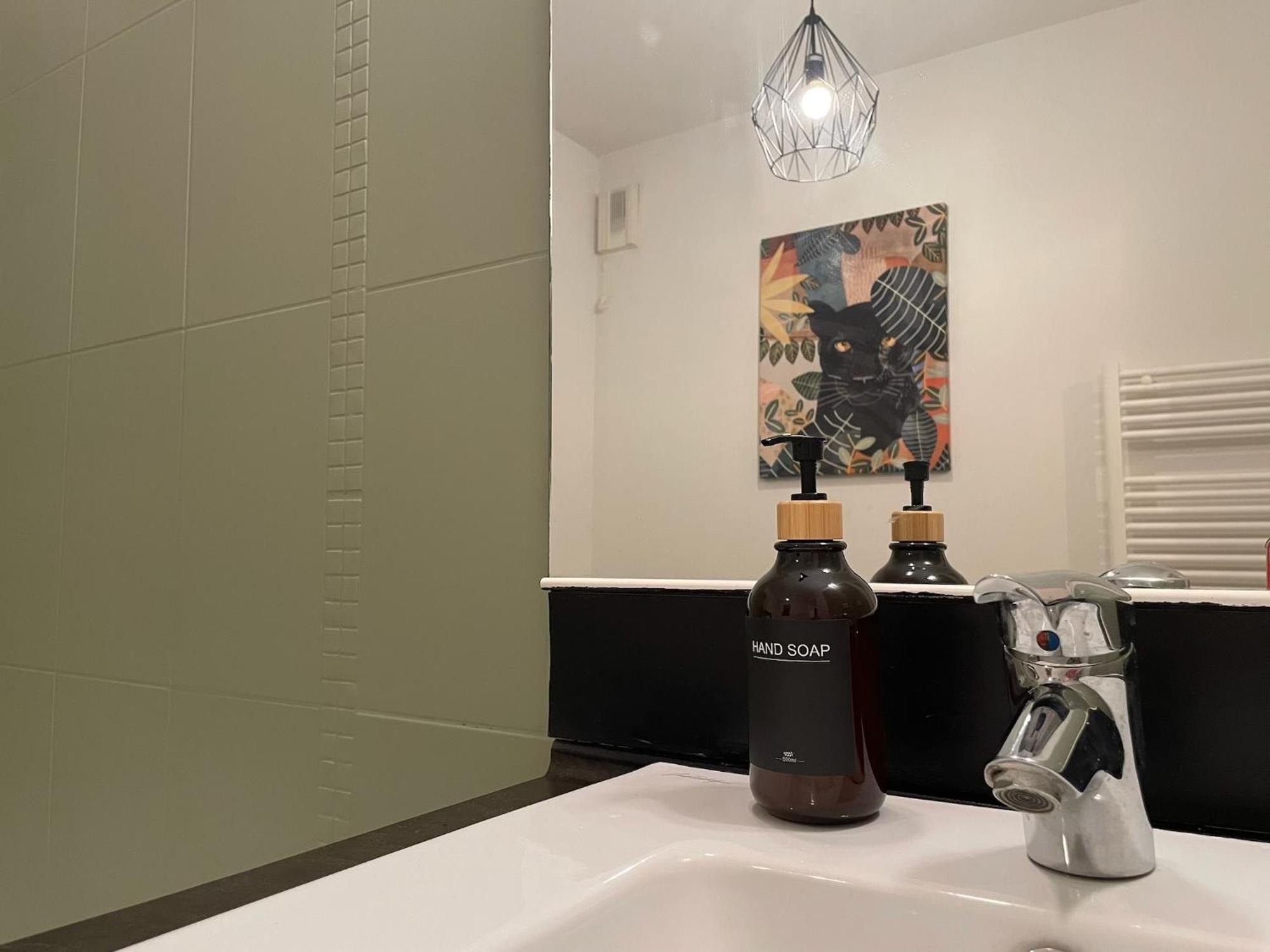 Le Colorado - Appartement Proche Airbus コロミエ エクステリア 写真